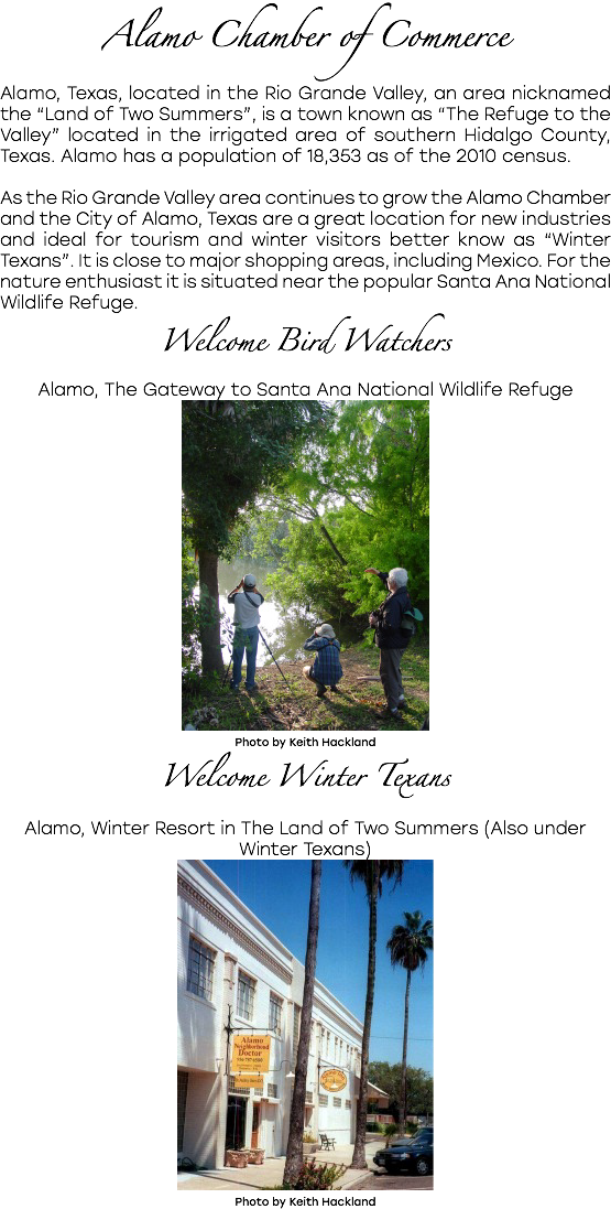 Alamo Chamber Of Commerce Alamo, Texas, Located In - Alamo (555x1097), Png Download