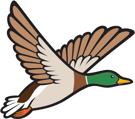 Goose Clipart Bird Fly - Mallard Ducky Clipart (600x600), Png Download