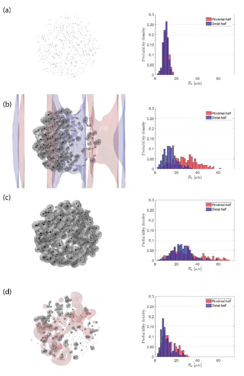 Snapshots Of The Bubble Cloud During The Simulation - Initial Condition (850x1308), Png Download