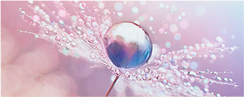 Image For 20x50" Abstract Painting From Brault & Martineau - Leinwandbild „tautropfen Auf Einer Pusteblume Im Schnee“, (519x804), Png Download