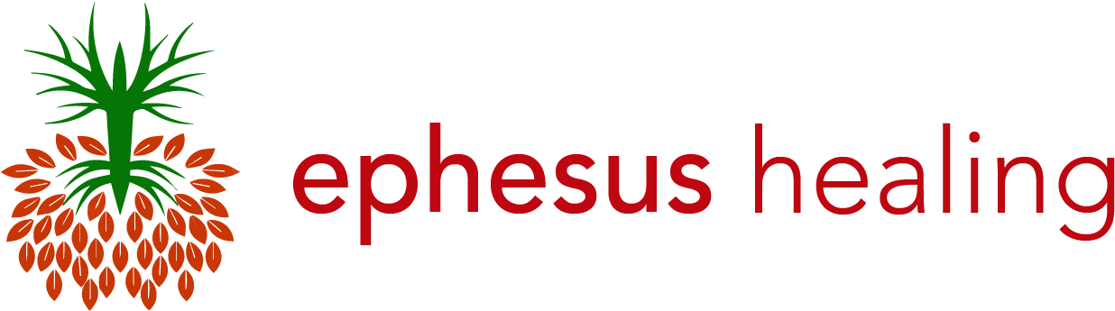 101, Logo - Logo (1243x344), Png Download