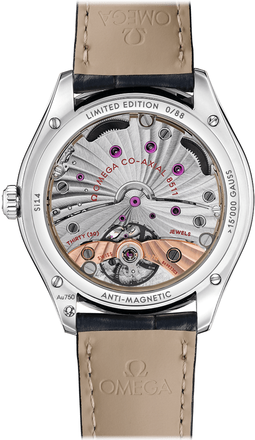 Trésor Omega Master Co-axial 40 Mm - Omega Watch De Ville Master Co-axial Trésor 40 Mm (800x1100), Png Download