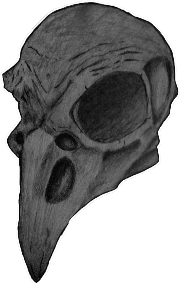 Bird Skull Png (848x942), Png Download