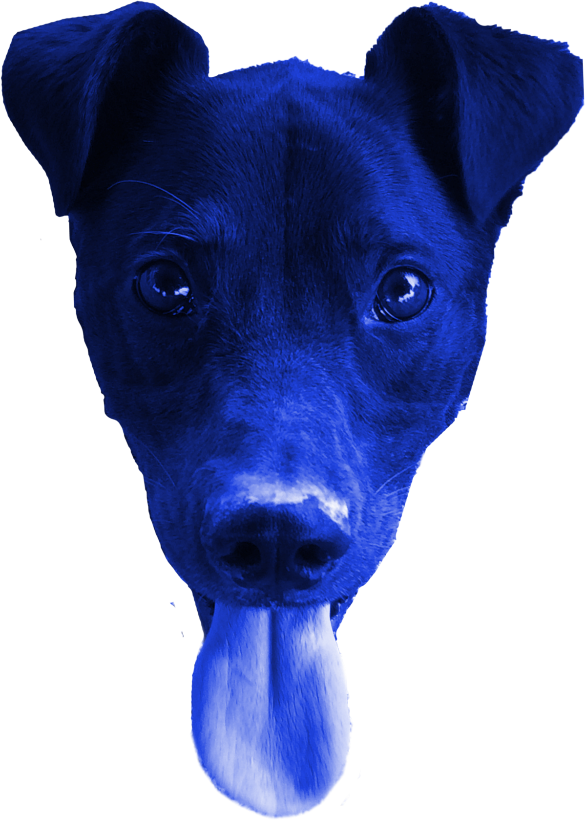 After Tinkering Around, I Settled On A Blue Color Palette - Feist (1200x1684), Png Download