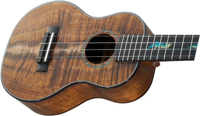 Headstock (990x440), Png Download
