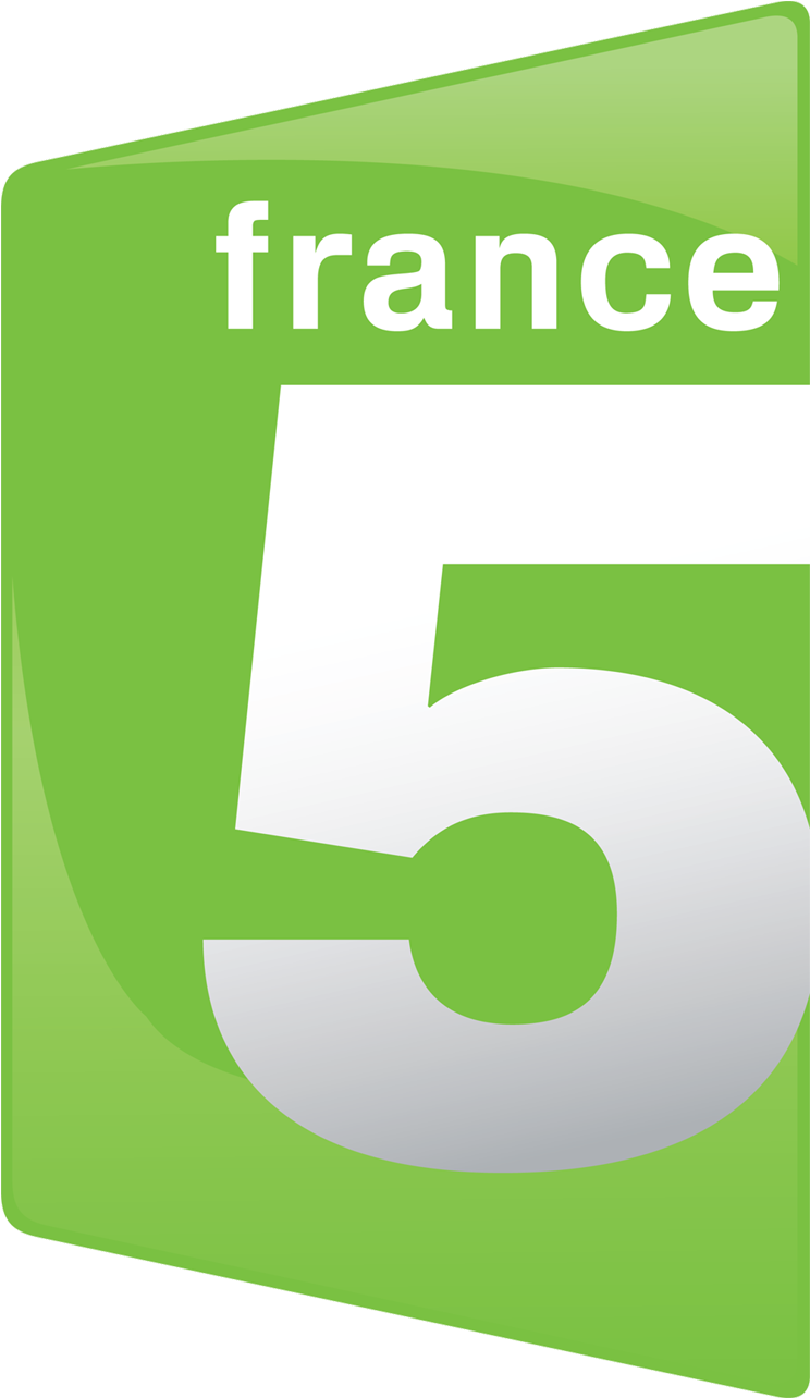 France 5 Logo , Wikimedia Commons - France 5 Logo Png (800x1320), Png Download