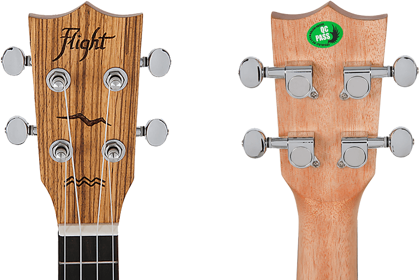 It All Starts With The Head - Florida (900x555), Png Download