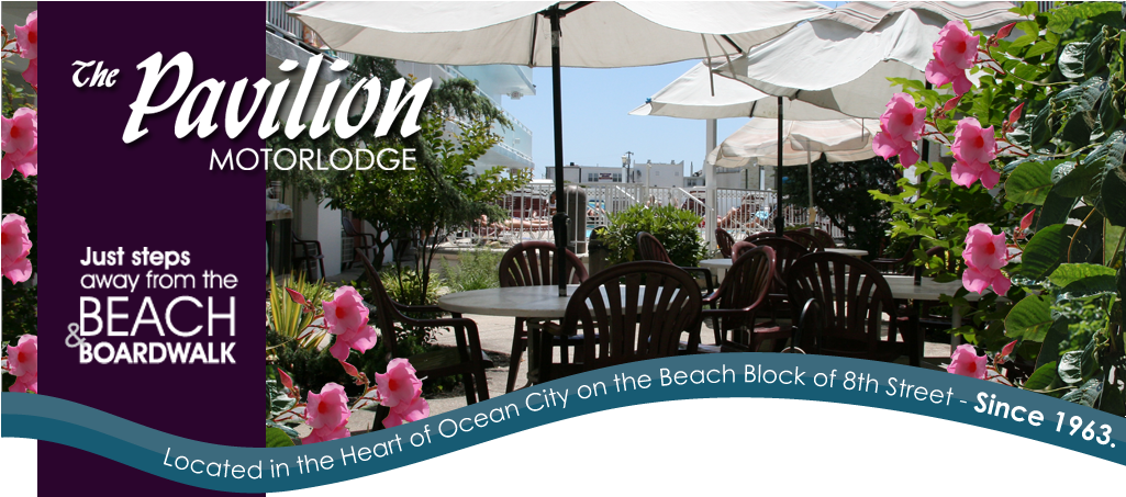 Pavilion Has All The Amenties To Meet Your Needs From - Hotel (1400x452), Png Download