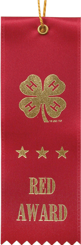 Red Award Ribbon - Christmas Ornament (1028x1028), Png Download