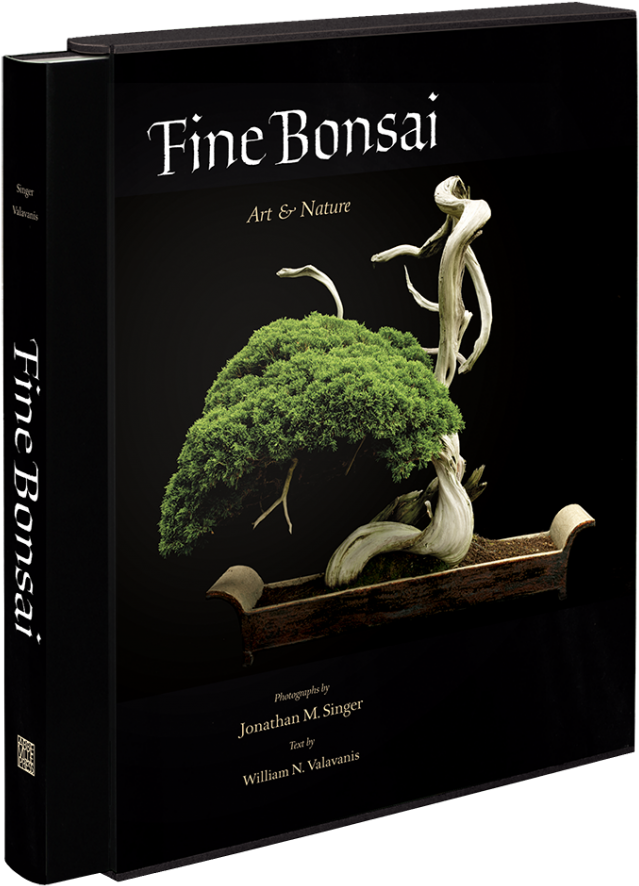 Square Ratio Fine Bonsai - Fine Bonsai - Deluxe Edition: Art & Nature - Hardcover (750x989), Png Download