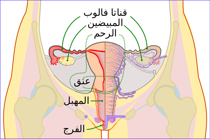Crack - Visual Arts (826x546), Png Download