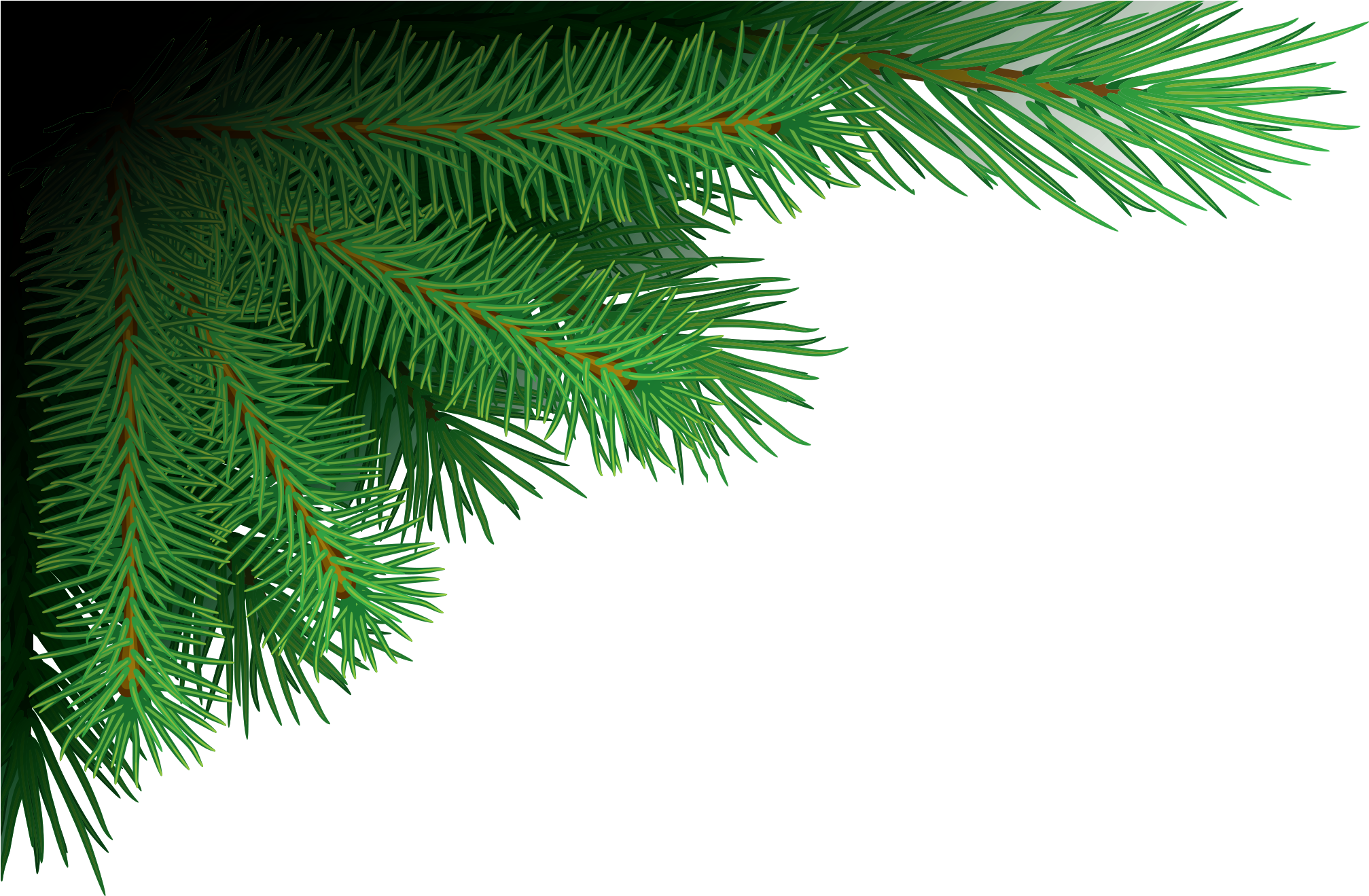 Download Transparent Tree Branches Png Image Free Download Searchpng ...