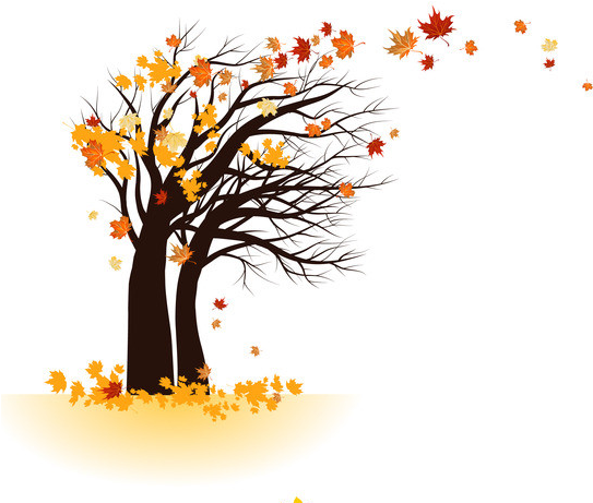 Autumn Trees, Autumn Leaves, Autumn Painting, Tree - Arbre Autumn Png (582x604), Png Download