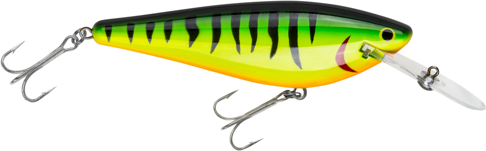 Bagley 5 In. Monster Shad - Realistic Shad (1024x327), Png Download
