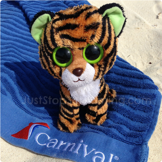 Carnival Cruise Line (600x600), Png Download
