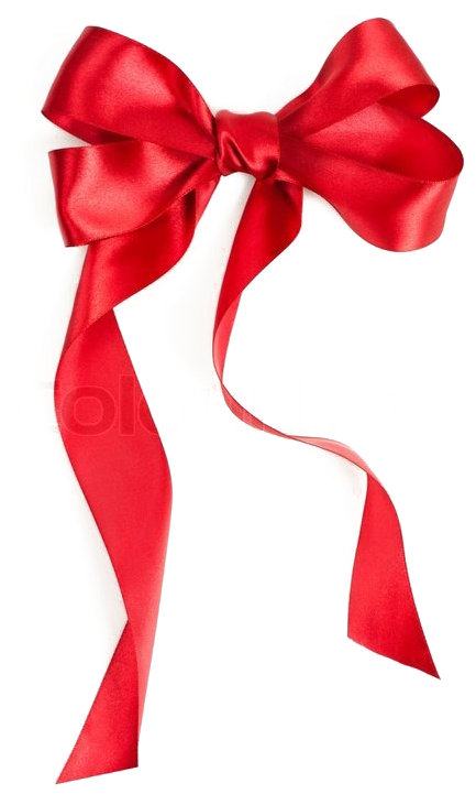 Gift Ribbon Bow Png Transparent Image - Ribbon Bow (529x800), Png Download