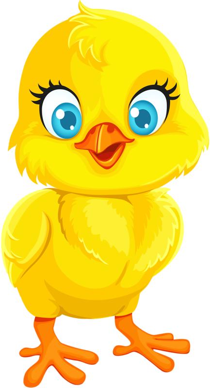 Png Pinterest Clip - Baby Chicken Cartoon Png (433x800), Png Download