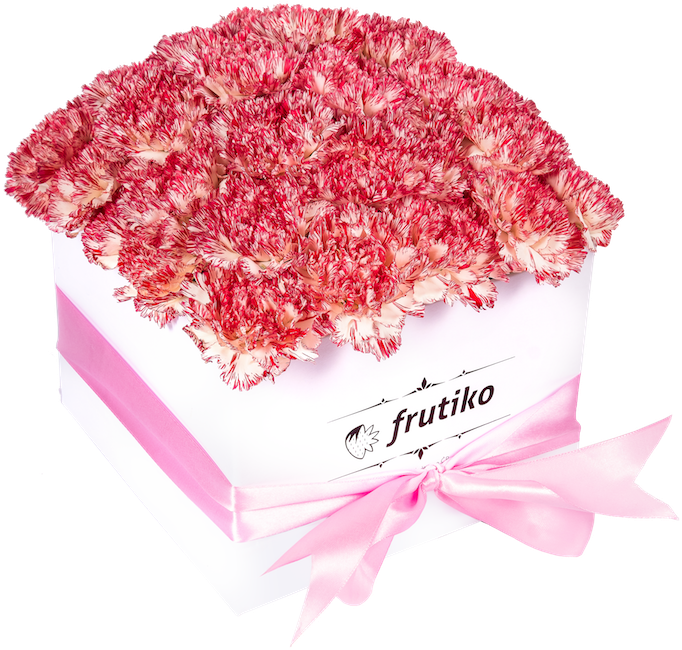 White Box Of Pink Carnations White Box Of Pink Carnations (700x677), Png Download