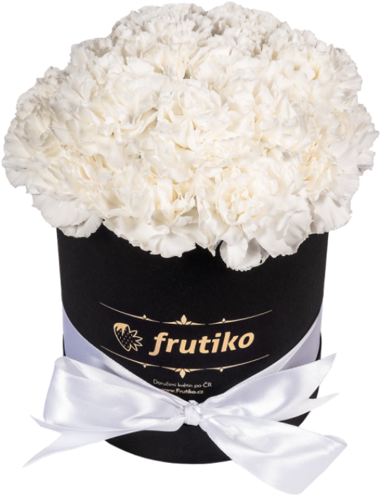White Carnations Black Oval Box - Hydrangea (687x846), Png Download