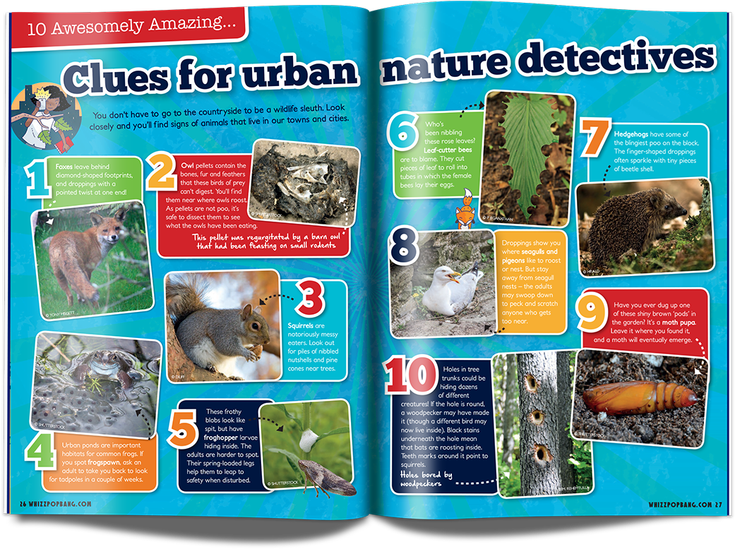 #blingyhedgehogpoo Hashtag On Twitter - Mouse (1134x856), Png Download