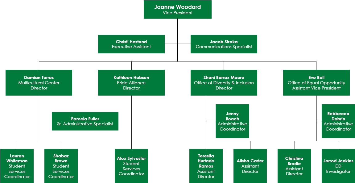 Division Of Institutional Equity & Diversity Org Chart - Equity (1200x675), Png Download
