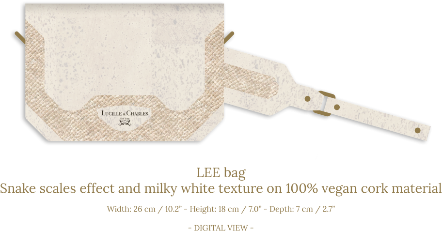 Casual Collection - Paper (1024x596), Png Download
