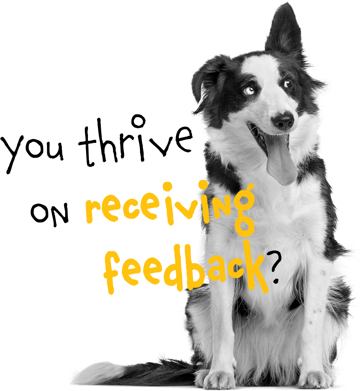 Njuškalo Is The Biggest Croatian Marketplace Player - 10 Años (1160x1248), Png Download