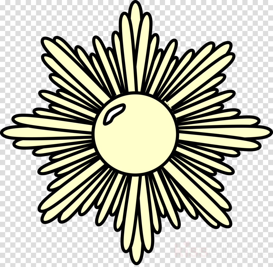 Starsburst Pnh Clipart Starburst Clip Art - Ashoka Chakra In White (900x880), Png Download