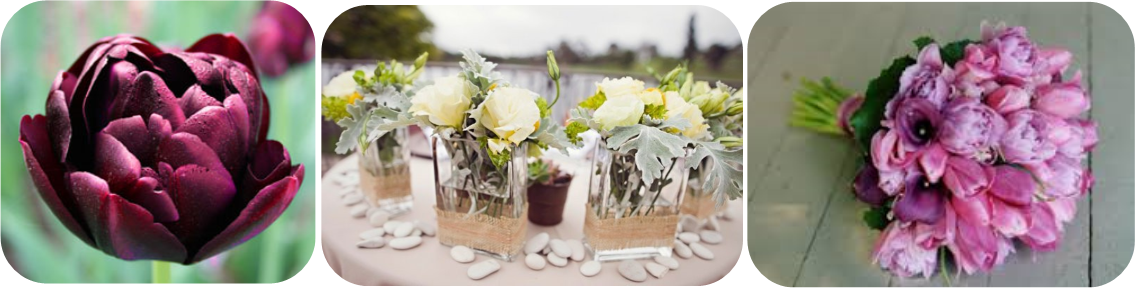 Hitched- Double Tulip Flower - Pink And Lavender Wedding (1136x288), Png Download