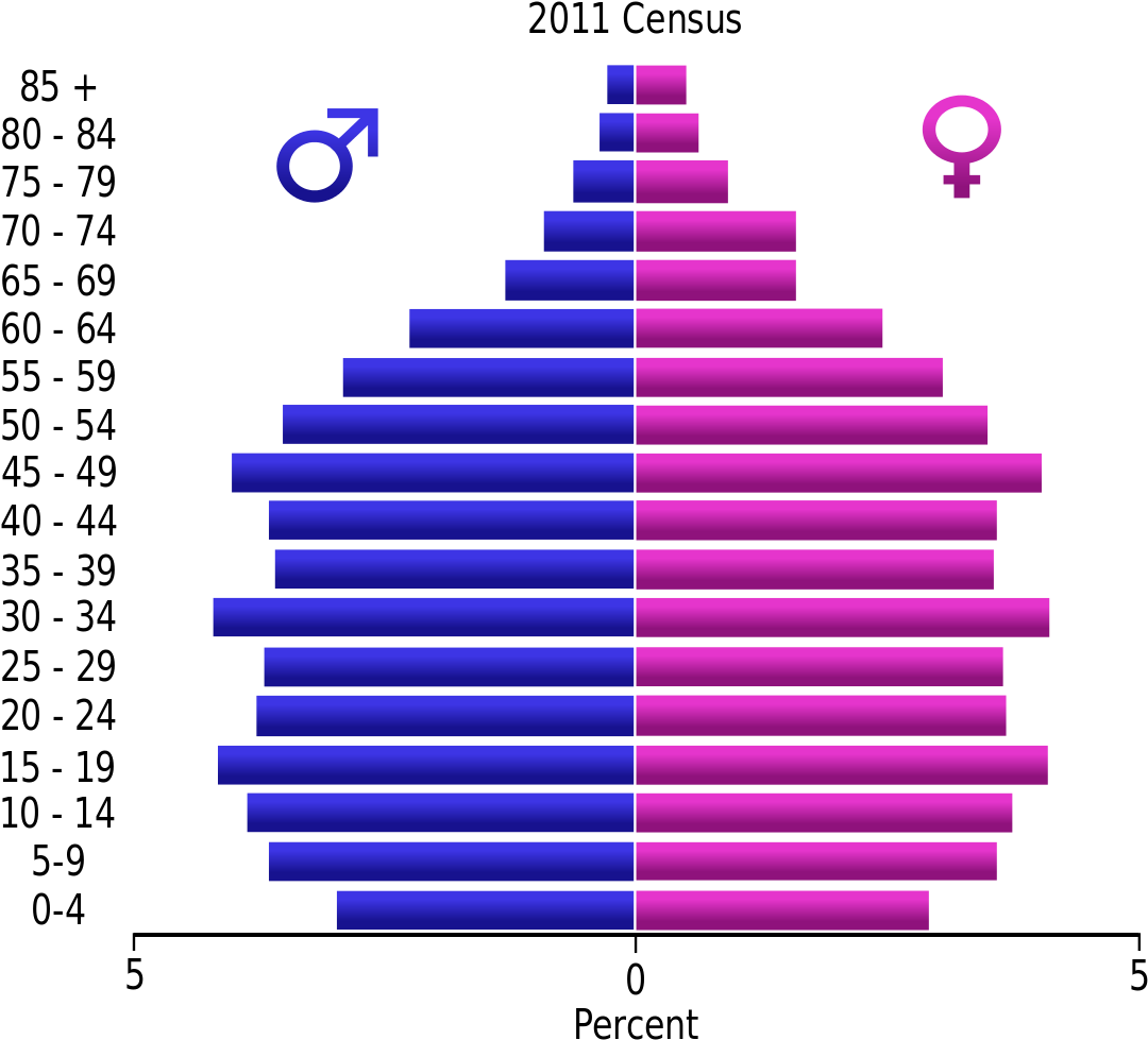 Mauritius Population Pyramid - Population Pyramid Of India Census 2011 (1119x1024), Png Download