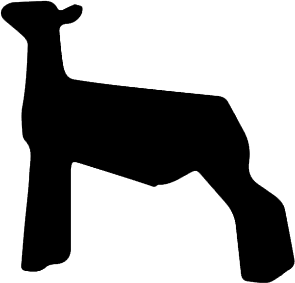 Free Show Lamb Clip Art Sheep Graphics Clublamb Images - Club Lamb Clip Art (650x600), Png Download