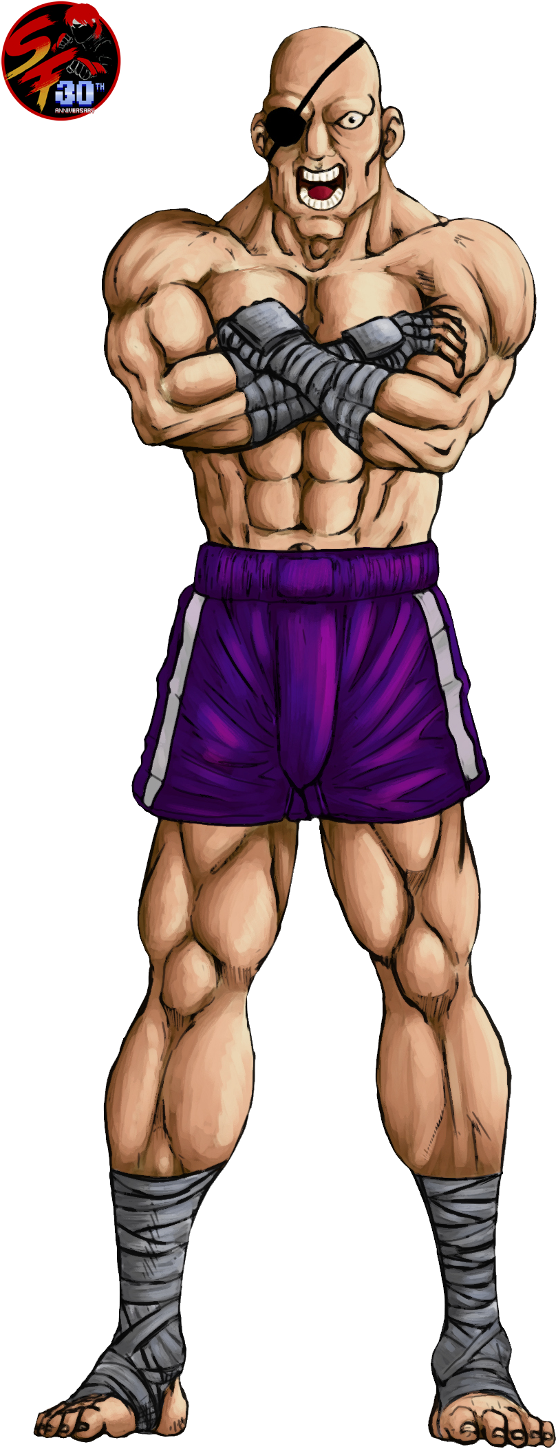 “street Fighter Is One Of The Oldest Sagas Of Fighting - Street Fighter 1987 Sagat (855x2138), Png Download