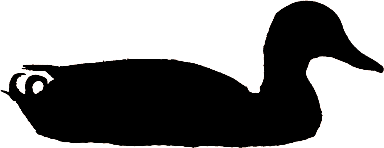 Mallard Male Clo, Tompkins Co, Ny 21jan10 Kjm8814-2 - Tompkins Trust Co (1300x575), Png Download