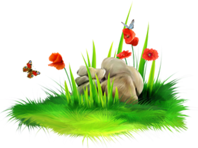 Sea Grass Png (640x480), Png Download