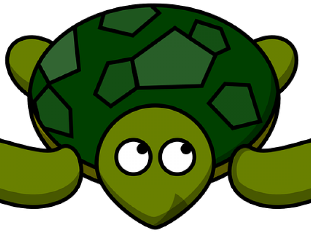 Sea Turtle Clipart (640x480), Png Download