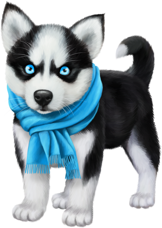 Puppy Vector Siberian Husky - Cachorro Clipart Husky (597x800), Png Download