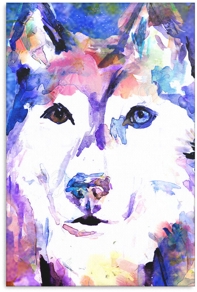 Husky Canvas P73 - Watercolor Animal Self Paintings (1024x1024), Png Download