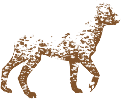 Mud Splatter Png - Dalmatian (475x538), Png Download