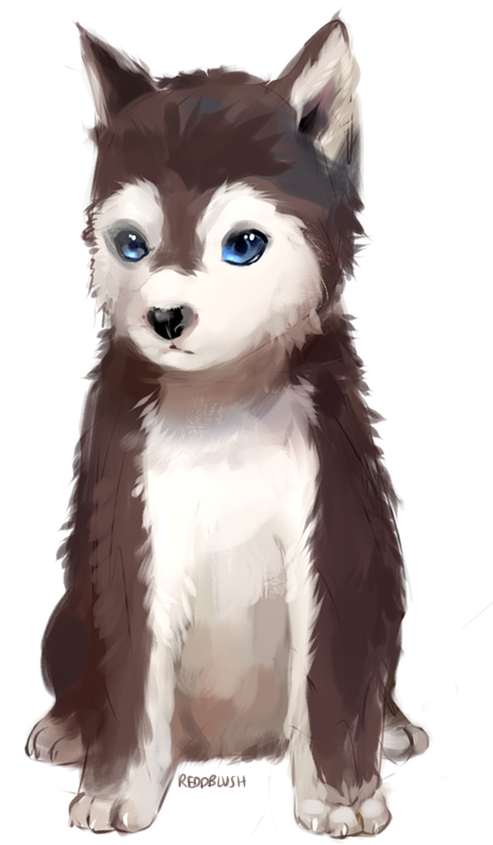 Sakhalin Husky (553x931), Png Download