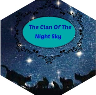 The Clan Of The Night Sky - Warriors (400x303), Png Download