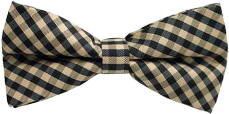 Hautebutch Tan And Black Checkered Bow Tie - Bow Tie Plaid Png (457x613), Png Download
