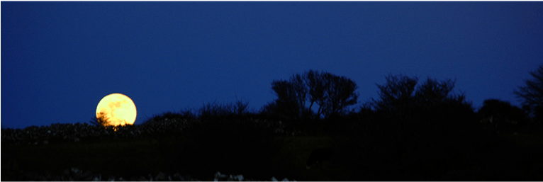 Night Sky Clipart - Wallpaper (765x510), Png Download