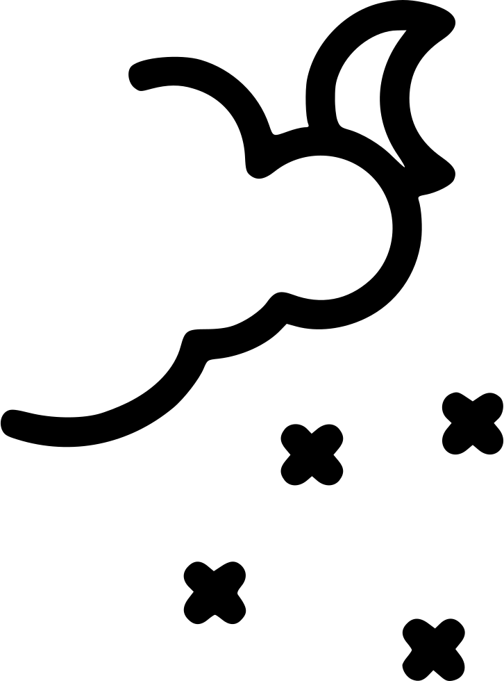 Night Sky Moon Comments - Campsite (726x980), Png Download