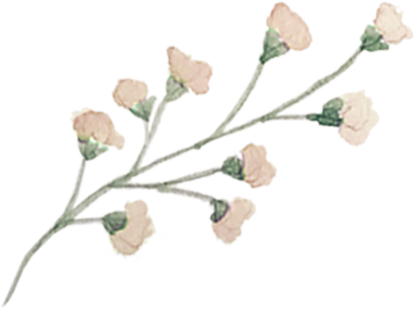 Single Floral 2 - Portable Network Graphics (600x449), Png Download