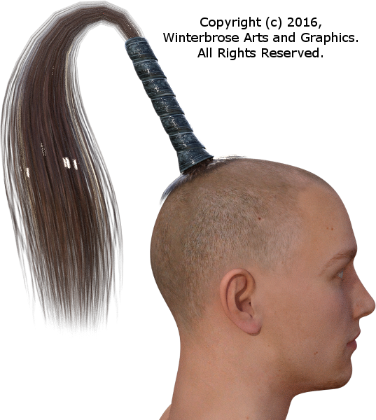 Genesis 3 Male - Horse Tail Hair (537x600), Png Download