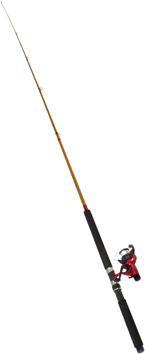 Fishing Pole Png - Antenna (480x822), Png Download