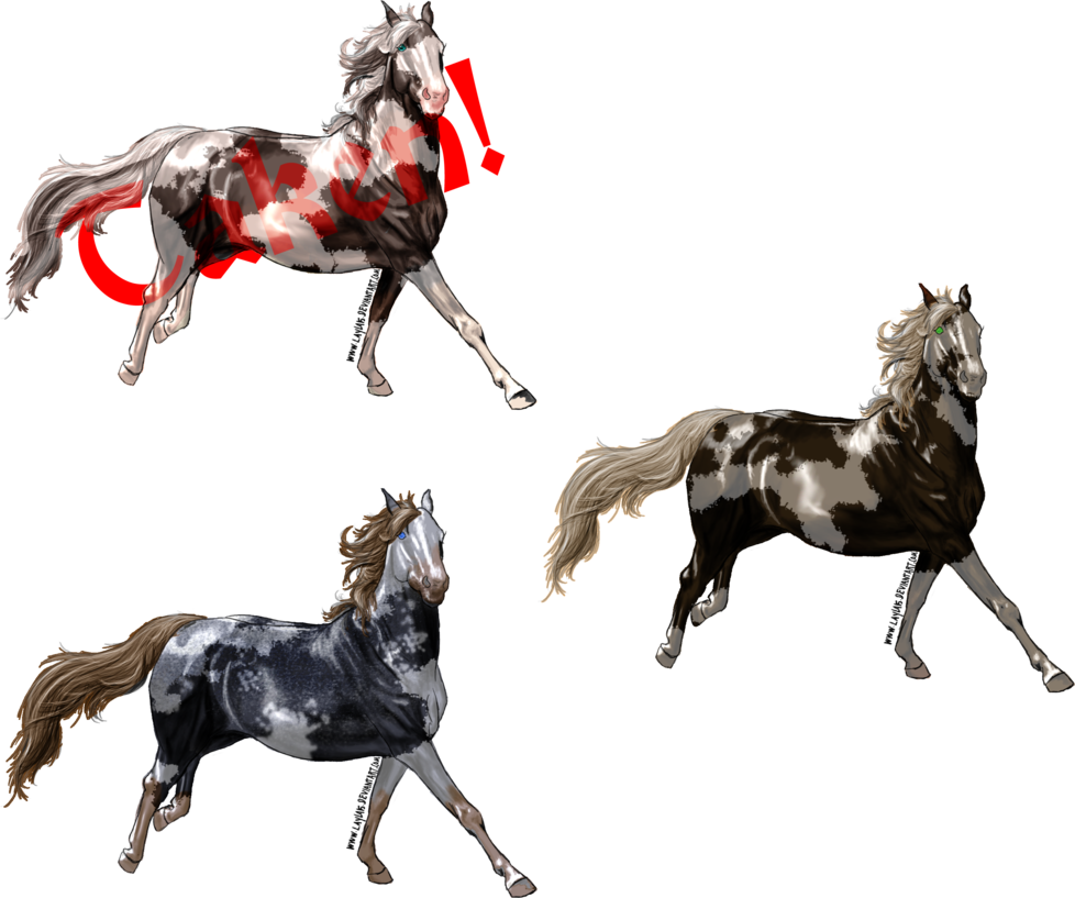 Cheap Paint Horse Adoptables By Renegade On - Horse (978x817), Png Download