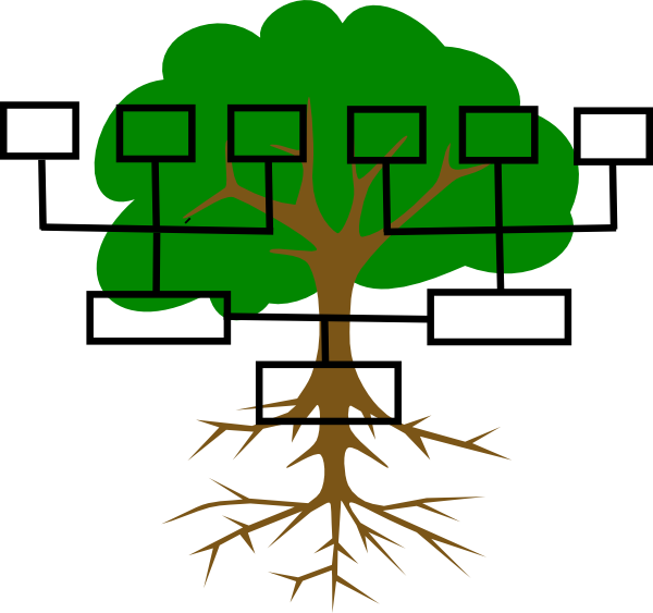 Family Tree Clipart - Family Tree No Background (600x563), Png Download
