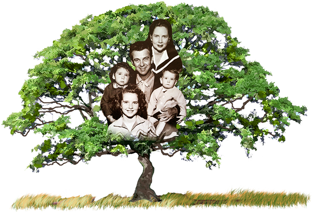 Currently, I've Enjoyed Working In A Variety Of Venues, - Oak Tree (710x515), Png Download