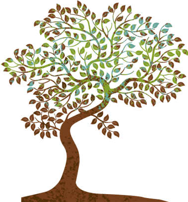 Join Us And See Your Family Tree Grow - Care Ministry (401x437), Png Download